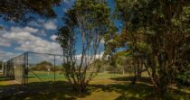 Taranui’s Nest Taranui’s Nest