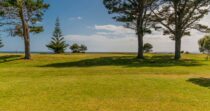 Taranui’s Nest Taranui’s Nest