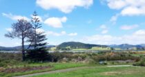 Takapu Bach Takapu Bach