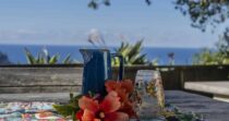 Seaview Oasis Seaview Oasis