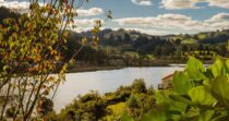 Tairua Treehouse