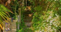 Tairua Treehouse