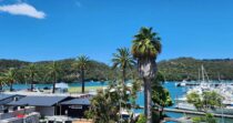 The Whitianga Lookout The Whitianga Lookout