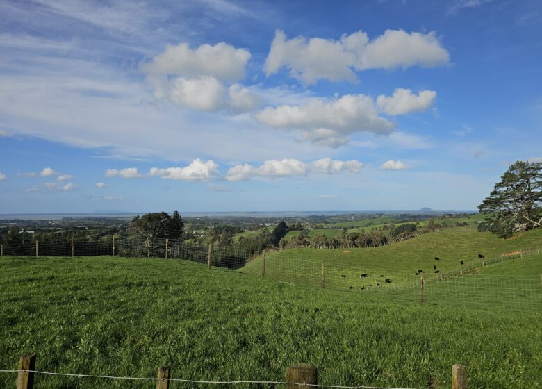 Tui Hills Lodge image